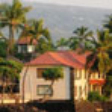 Harrich Bardter Cafe